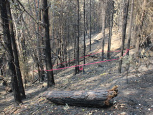 wildland fire origin investigation Vallerga Fire